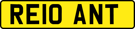 RE10ANT