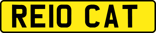 RE10CAT