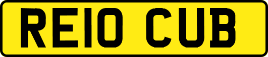 RE10CUB