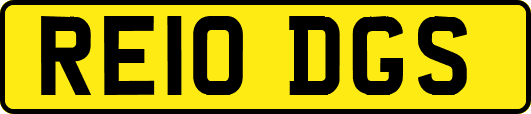 RE10DGS