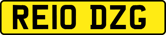 RE10DZG