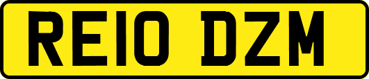 RE10DZM
