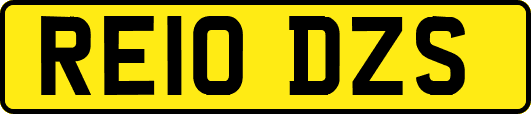 RE10DZS