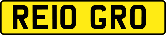 RE10GRO