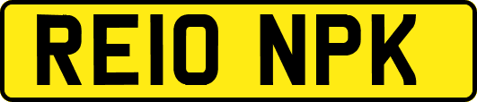 RE10NPK