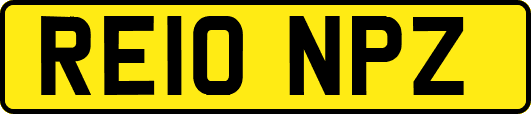 RE10NPZ