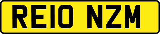 RE10NZM