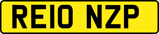 RE10NZP