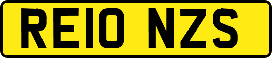RE10NZS
