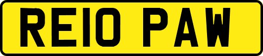 RE10PAW