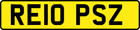 RE10PSZ