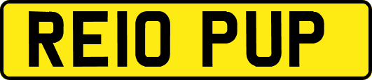 RE10PUP