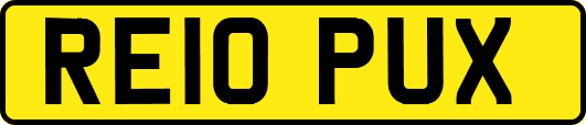 RE10PUX