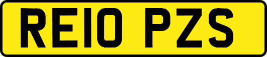 RE10PZS