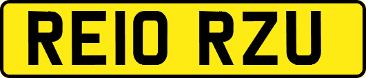 RE10RZU