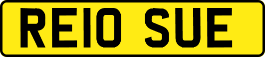RE10SUE