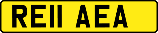 RE11AEA