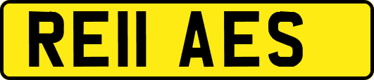 RE11AES