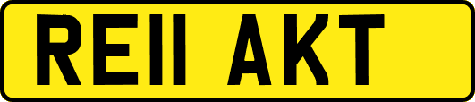 RE11AKT