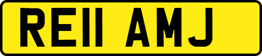RE11AMJ