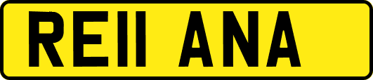 RE11ANA