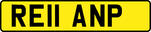 RE11ANP