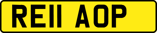 RE11AOP