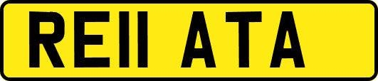 RE11ATA