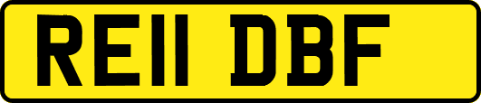RE11DBF
