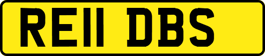 RE11DBS