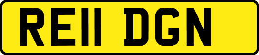 RE11DGN