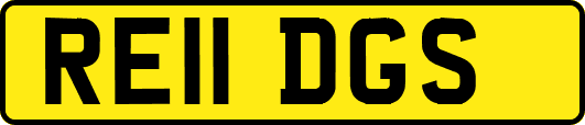 RE11DGS