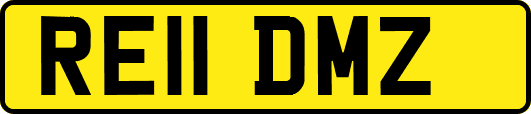 RE11DMZ