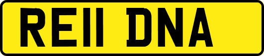 RE11DNA