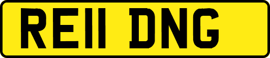RE11DNG