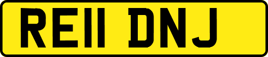 RE11DNJ