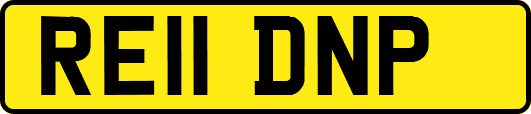 RE11DNP