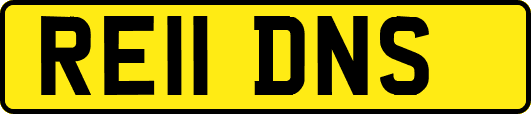 RE11DNS