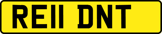 RE11DNT
