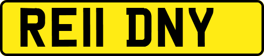 RE11DNY