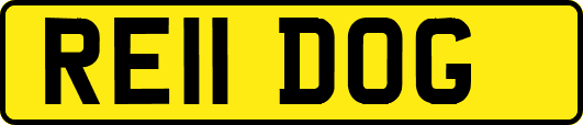 RE11DOG