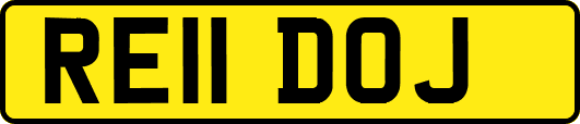 RE11DOJ