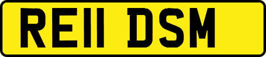 RE11DSM