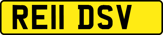 RE11DSV