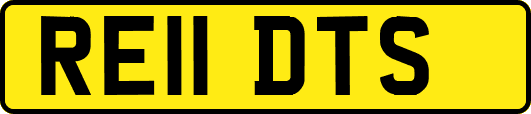 RE11DTS