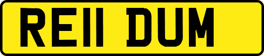 RE11DUM