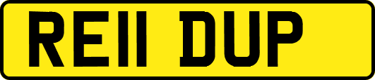 RE11DUP