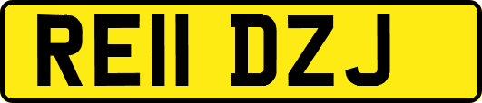 RE11DZJ