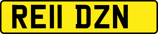 RE11DZN