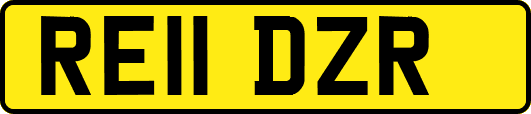 RE11DZR
